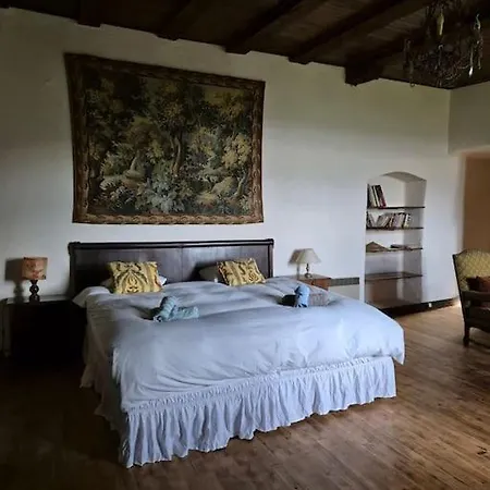 Semesterbostad Chateau De Presque